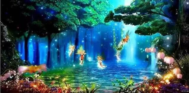探秘狮子通常都是群居生活,为何老虎通常都是独居?,知识星球平台首选!