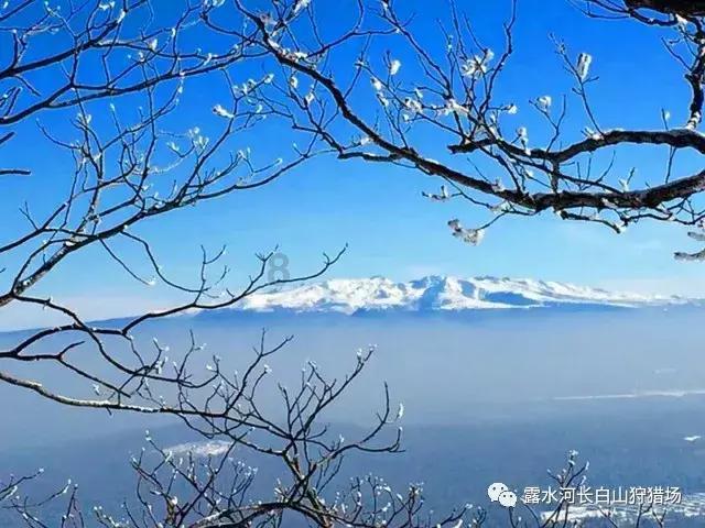 全民剧本大师内置菜单
