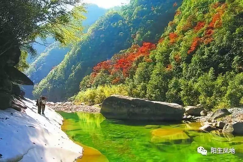 召唤神龙万宁版祖龙