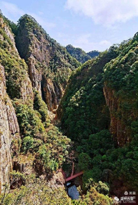 虫虫助手下载